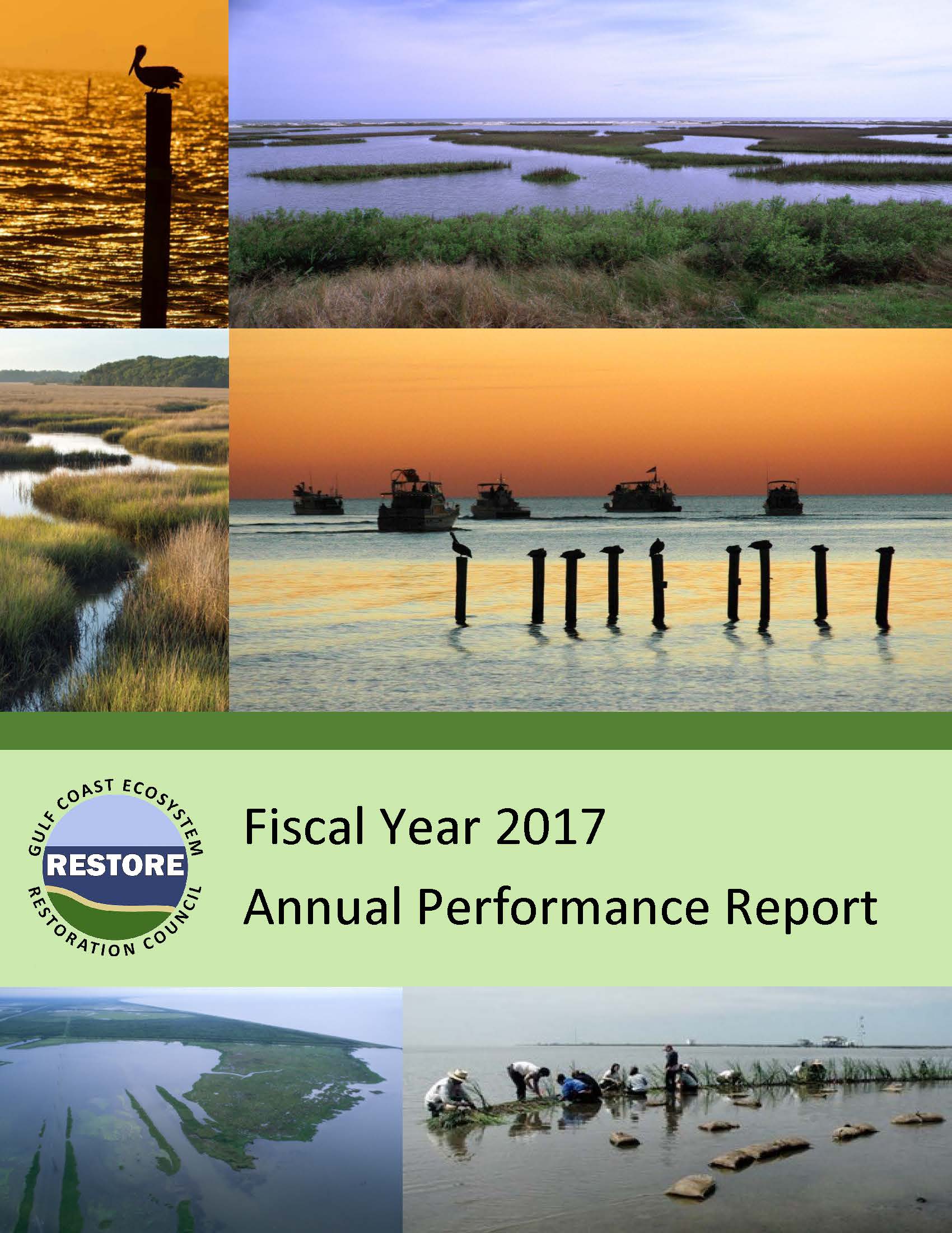 Annual Performance Report Cover 2017